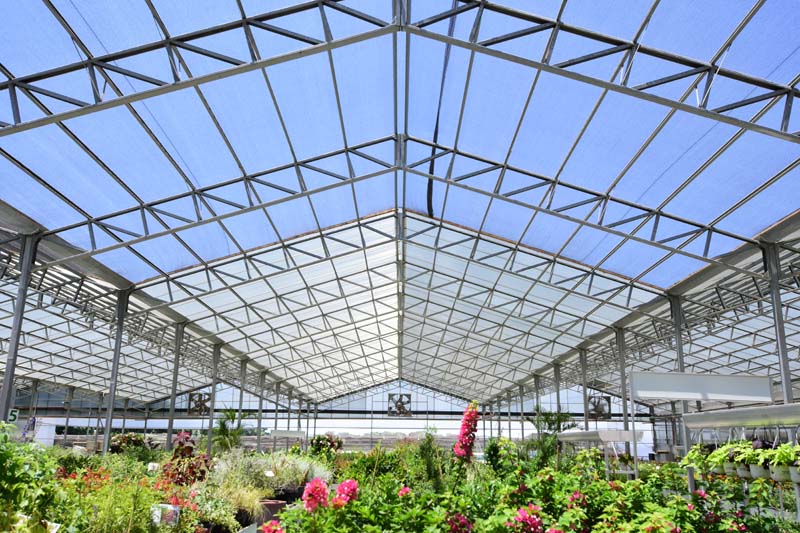 Why Pararth Products Polycarbonate Sheets Are the Ideal Choice for Greenhouses in India